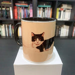 Gato acostado